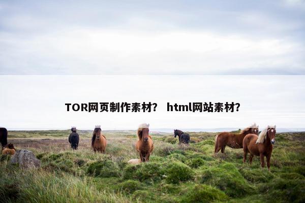 TOR网页制作素材？ html网站素材？