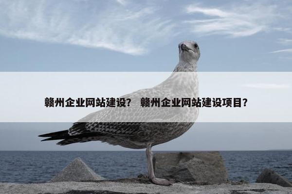 赣州企业网站建设？ 赣州企业网站建设项目？