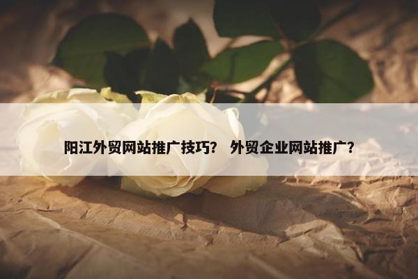 阳江外贸网站推广技巧？ 外贸企业网站推广？