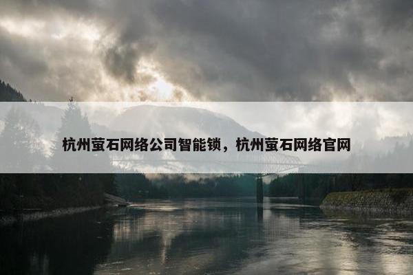 杭州萤石网络公司智能锁，杭州萤石网络官网