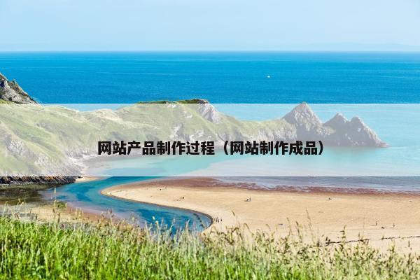 网站产品制作过程（网站制作成品）