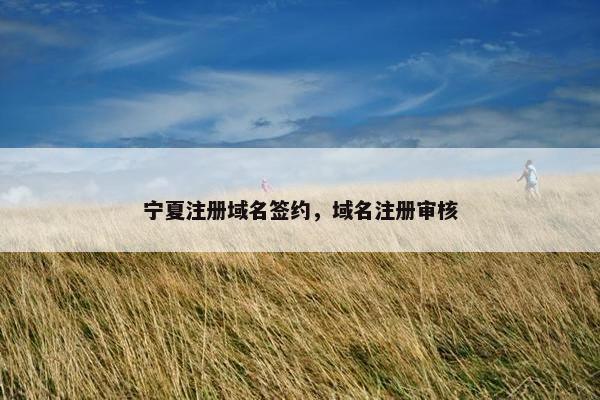 宁夏注册域名签约，域名注册审核