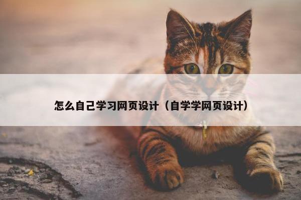 怎么自己学习网页设计（自学学网页设计）