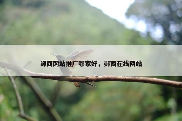 郧西网站推广哪家好，郧西在线网站