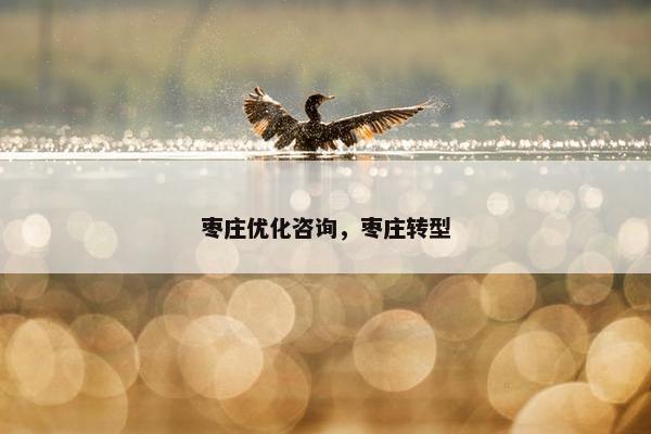 枣庄优化咨询，枣庄转型