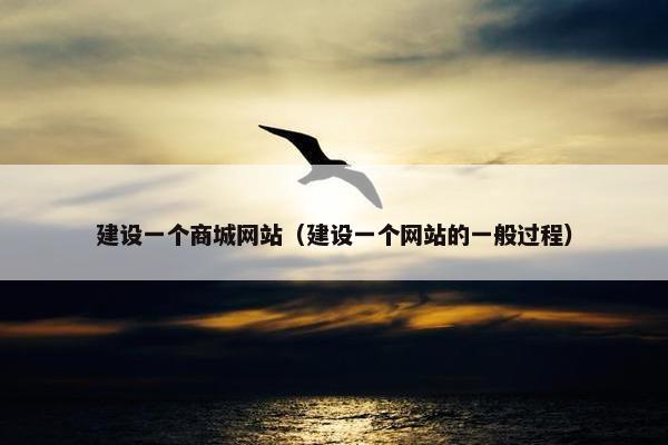 建设一个商城网站（建设一个网站的一般过程）