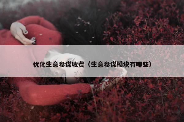 优化生意参谋收费（生意参谋模块有哪些）
