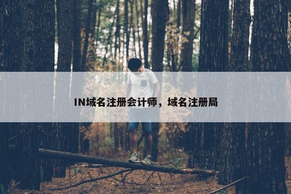 IN域名注册会计师，域名注册局