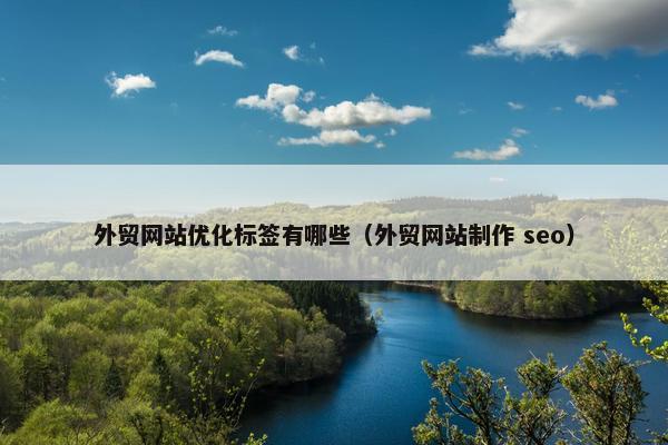 外贸网站优化标签有哪些（外贸网站制作 seo）
