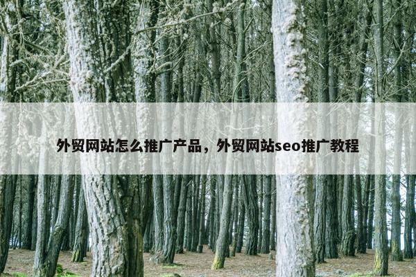 外贸网站怎么推广产品，外贸网站seo推广教程