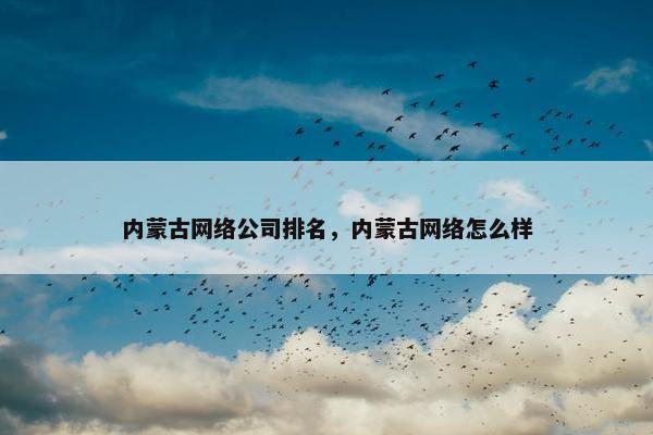 内蒙古网络公司排名，内蒙古网络怎么样