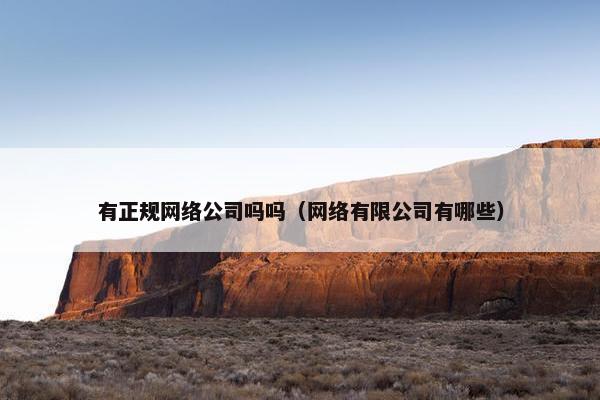 有正规网络公司吗吗（网络有限公司有哪些）