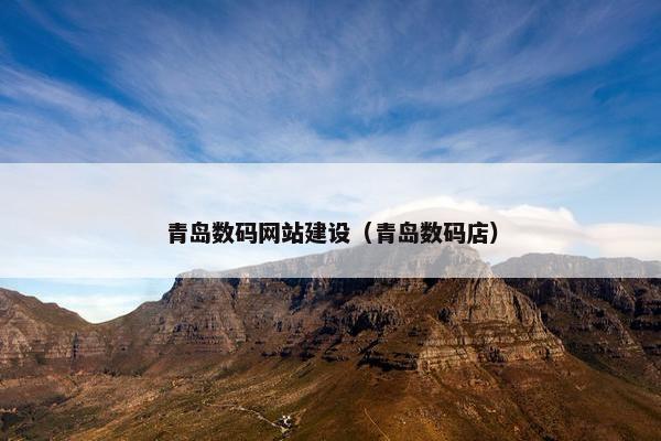 青岛数码网站建设（青岛数码店）