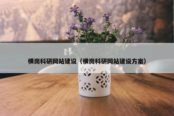 横岗科研网站建设（横岗科研网站建设方案）