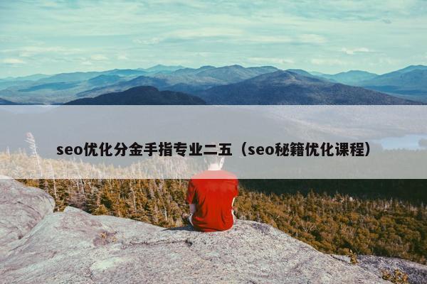 seo优化分金手指专业二五（seo秘籍优化课程）
