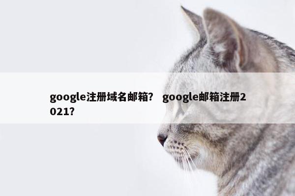 google注册域名邮箱？ google邮箱注册2021？