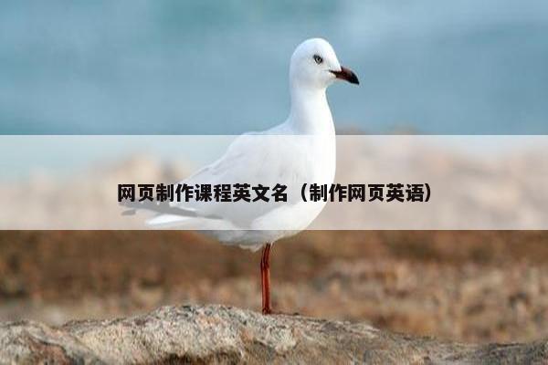 网页制作课程英文名（制作网页英语）