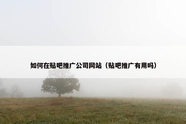 如何在贴吧推广公司网站（贴吧推广有用吗）