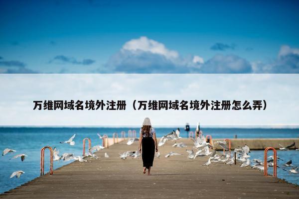 万维网域名境外注册（万维网域名境外注册怎么弄）