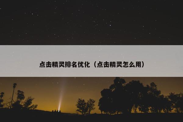 点击精灵排名优化（点击精灵怎么用）