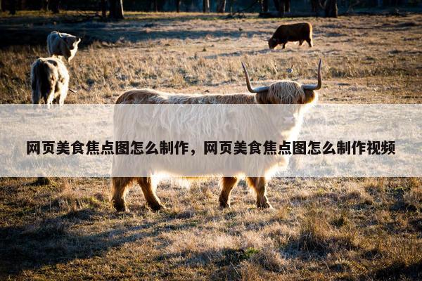 网页美食焦点图怎么制作，网页美食焦点图怎么制作视频