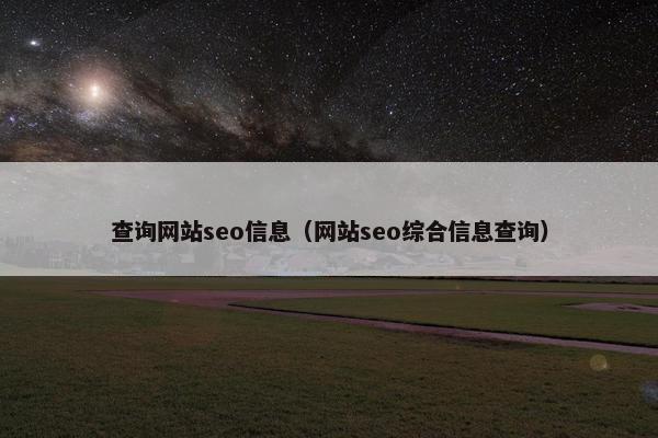 查询网站seo信息（网站seo综合信息查询）