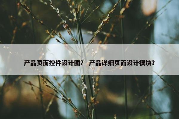 产品页面控件设计图？ 产品详细页面设计模块？