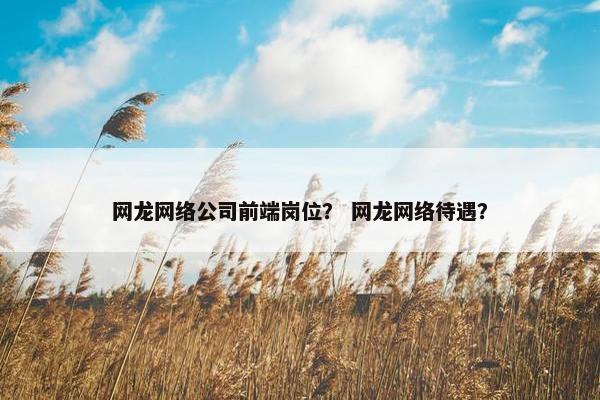 网龙网络公司前端岗位？ 网龙网络待遇？