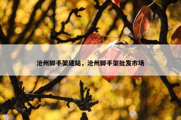 沧州脚手架建站，沧州脚手架批发市场