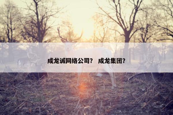 成龙诚网络公司？ 成龙集团？