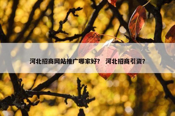 河北招商网站推广哪家好？ 河北招商引资？