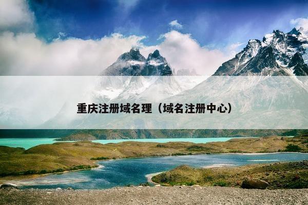 重庆注册域名理（域名注册中心）