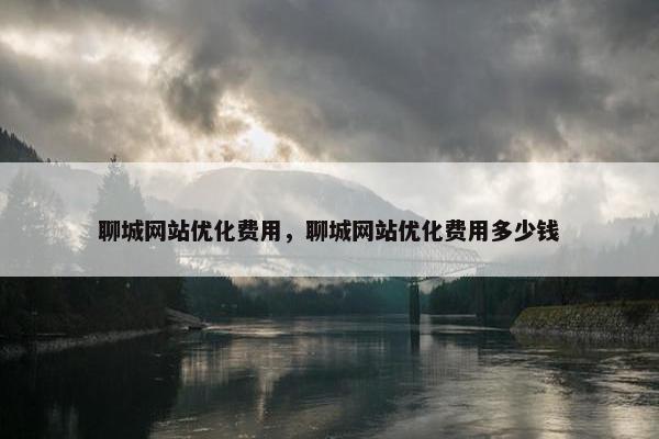 聊城网站优化费用，聊城网站优化费用多少钱