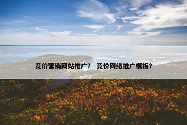 竞价营销网站推广？ 竞价网络推广模板？