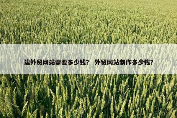 建外贸网站需要多少钱？ 外贸网站制作多少钱？