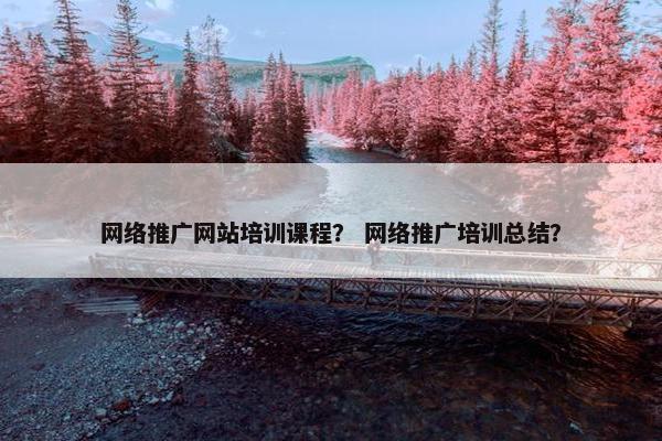 网络推广网站培训课程？ 网络推广培训总结？