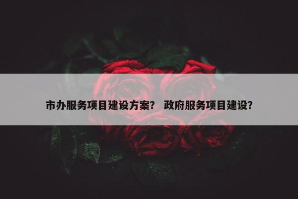 市办服务项目建设方案？ 政府服务项目建设？