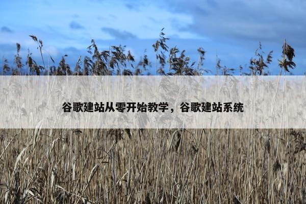 谷歌建站从零开始教学，谷歌建站系统
