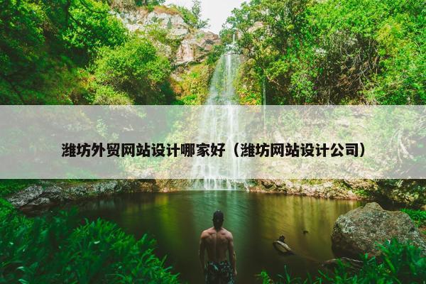 潍坊外贸网站设计哪家好（潍坊网站设计公司）