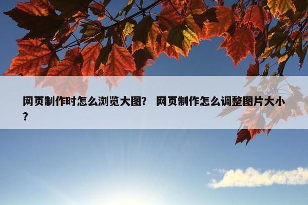 网页制作时怎么浏览大图？ 网页制作怎么调整图片大小？