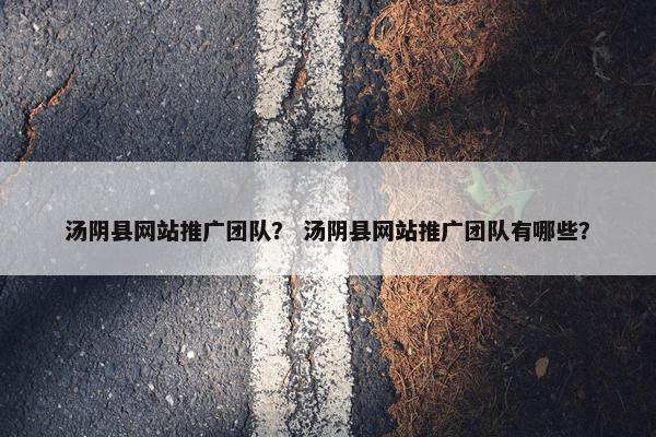 汤阴县网站推广团队？ 汤阴县网站推广团队有哪些？
