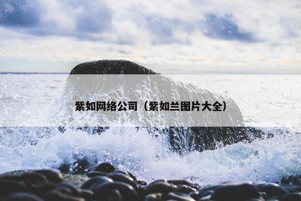 紫如网络公司（紫如兰图片大全）