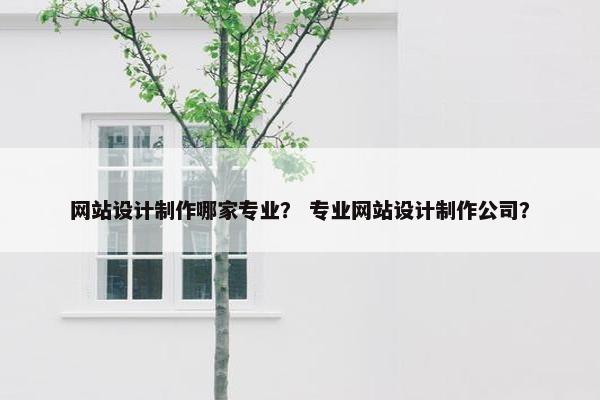 网站设计制作哪家专业？ 专业网站设计制作公司？