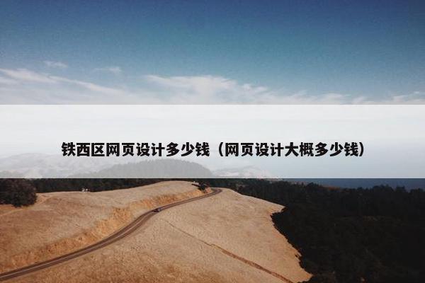 铁西区网页设计多少钱（网页设计大概多少钱）