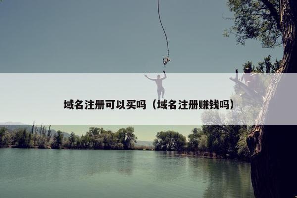 域名注册可以买吗（域名注册赚钱吗）