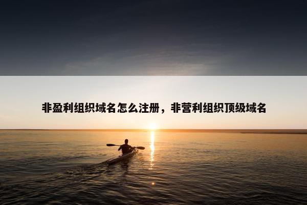 非盈利组织域名怎么注册，非营利组织顶级域名
