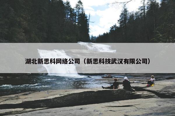 湖北新思科网络公司（新思科技武汉有限公司）