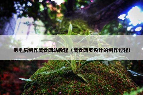 用电脑制作美食网站教程（美食网页设计的制作过程）
