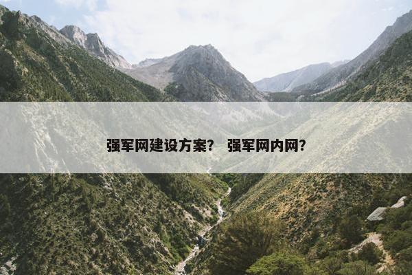 强军网建设方案？ 强军网内网？
