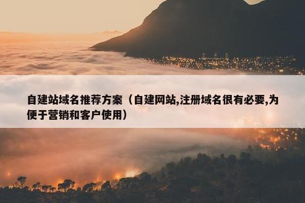 自建站域名推荐方案（自建网站,注册域名很有必要,为便于营销和客户使用）